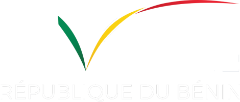 logo-evisa-white2